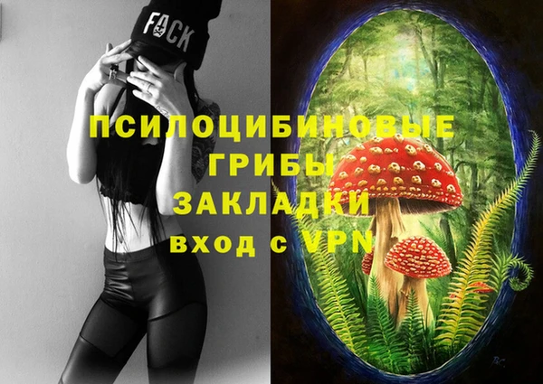 бошки Баксан